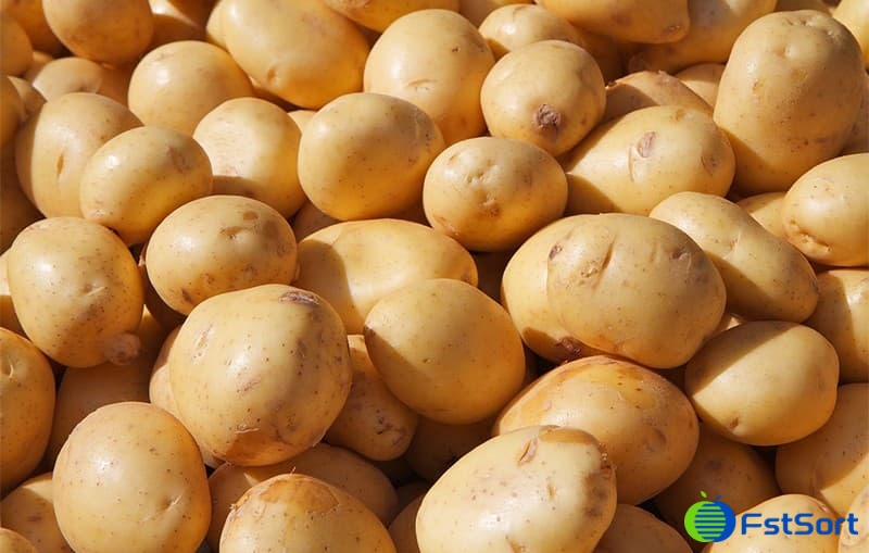 washed potatoes.jpg washed potatoes.jpg